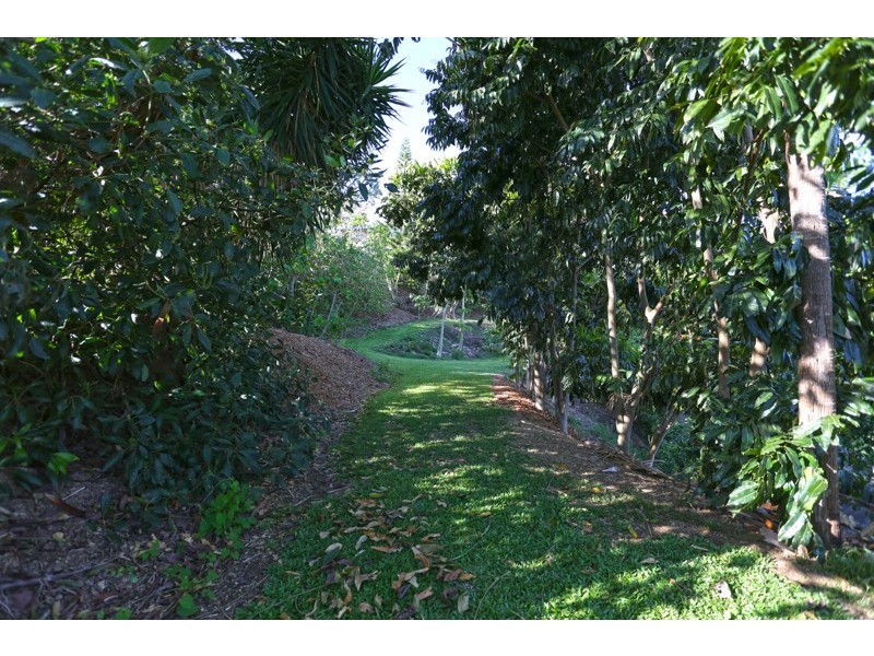 6 Highview Close, Farleigh QLD 4741