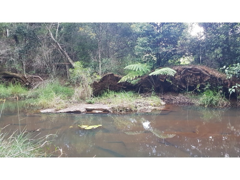 153 Cockram Road, Ravenshoe QLD 4888