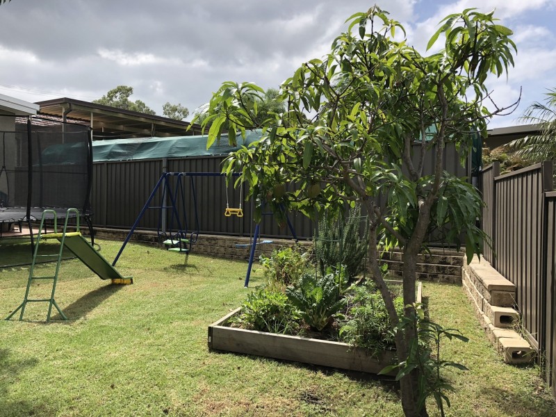 Figtree NSW 2525