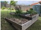 Figtree NSW 2525