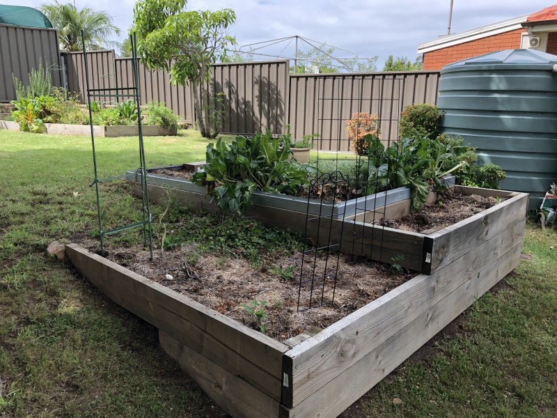 Figtree NSW 2525