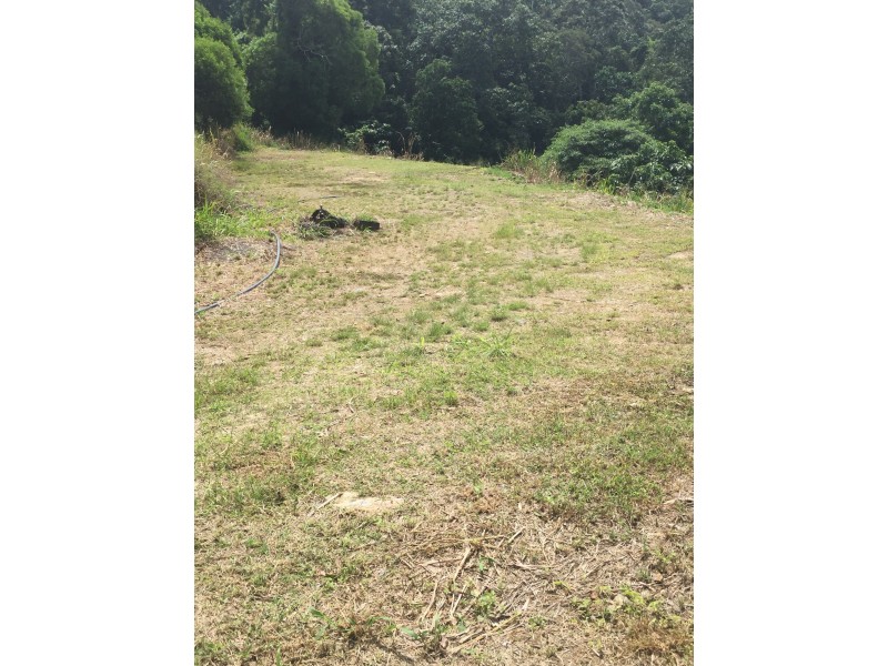 Bloomfield QLD 4895