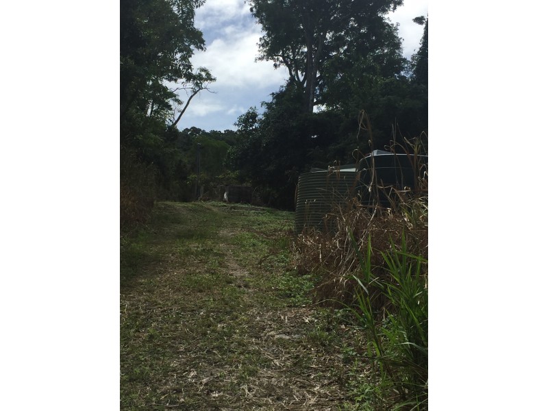 Bloomfield QLD 4895