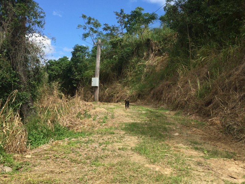Bloomfield QLD 4895
