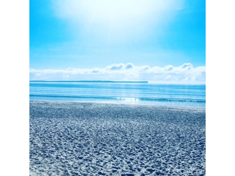 93 Waldegrave  Crescent, Vincentia NSW 2540