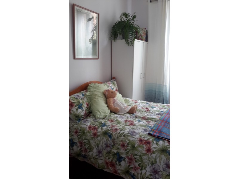 99 CAROLINE STREET, Bendemeer NSW 2355