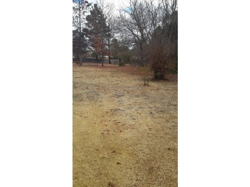 99 CAROLINE STREET, Bendemeer NSW 2355