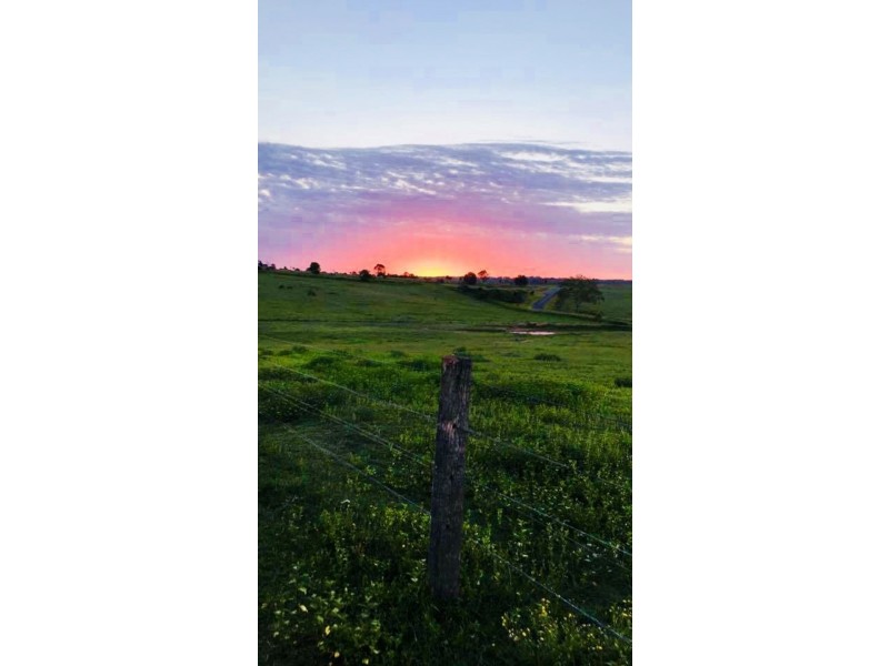 46 Boyland Road, Boyland QLD 4275