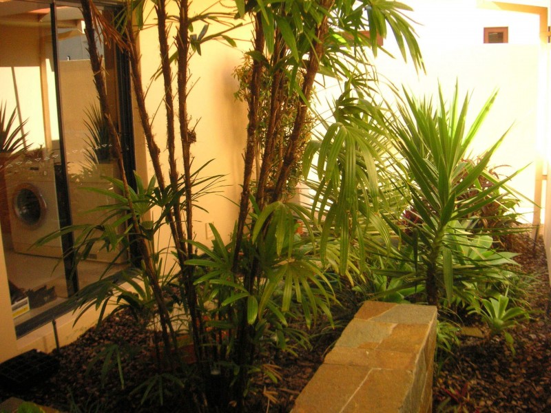 14 The Promontory, Noosa Waters QLD 4566