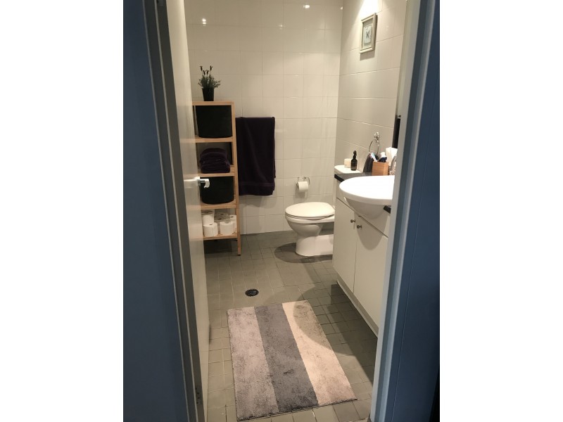 459/221 Sydney Park Road, Erskineville NSW 2043