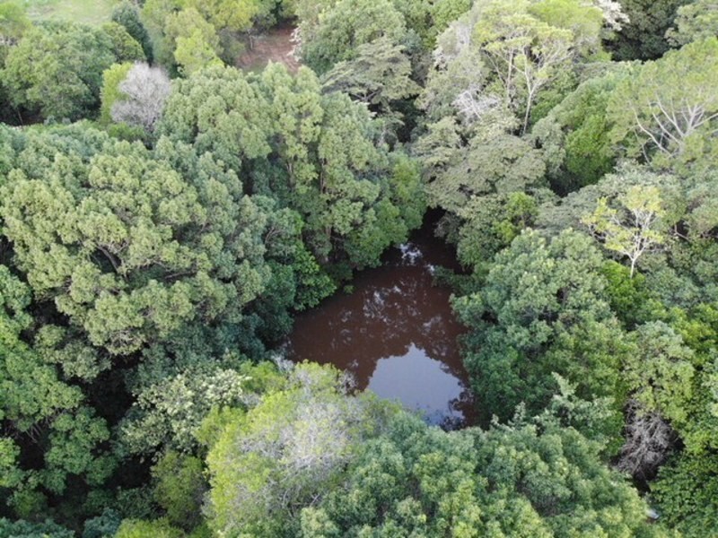 866 Pomona Kin Kin Rd, Kin Kin QLD 4571