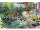59 Graffunder Street, South Mackay QLD 4740