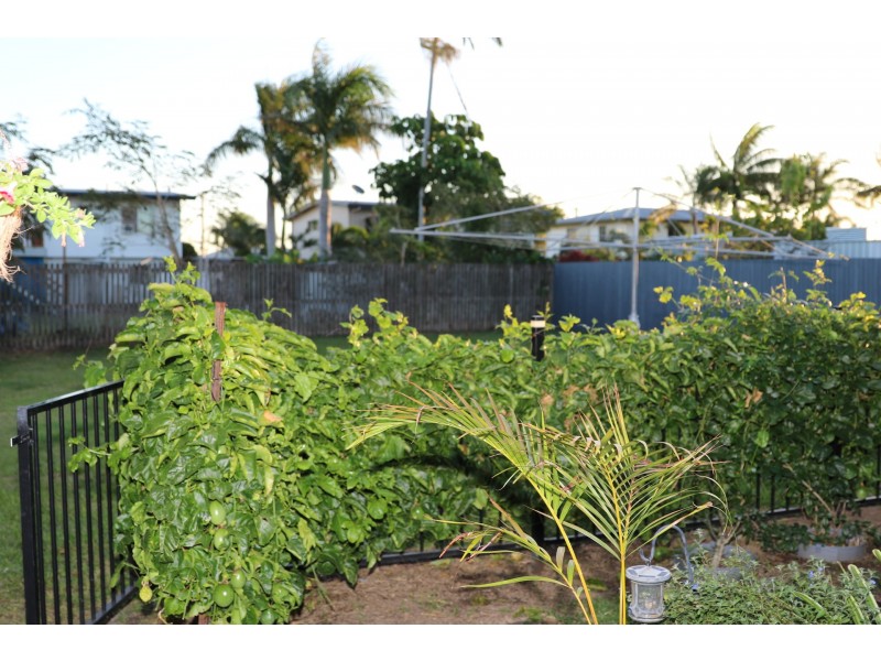 59 Graffunder Street, South Mackay QLD 4740