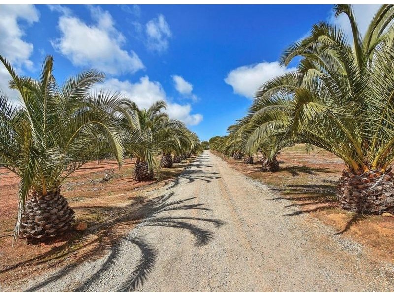 39 Ferguson Road, Toodyay WA 6566