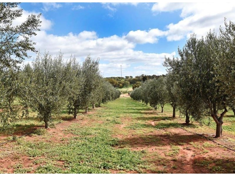 39 Ferguson Road, Toodyay WA 6566