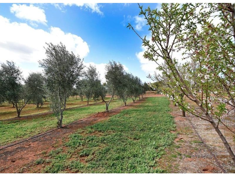 39 Ferguson Road, Toodyay WA 6566