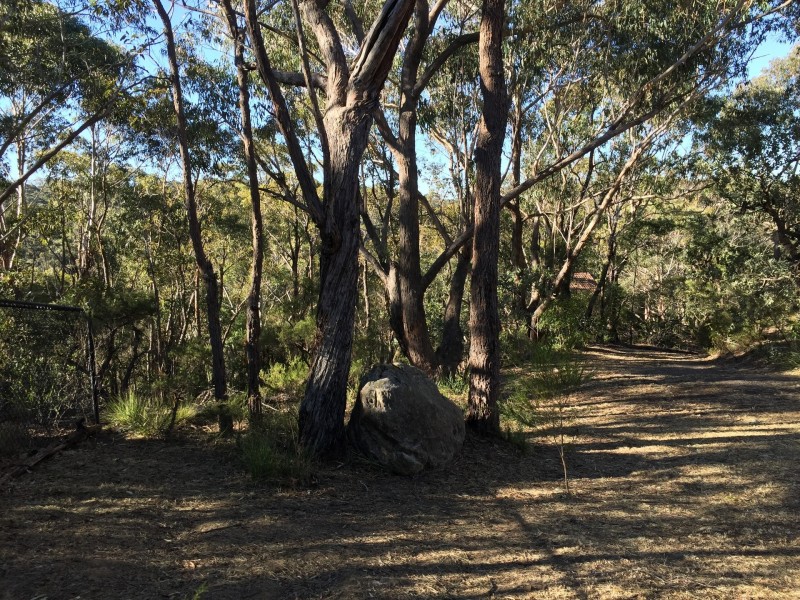 14 Hovea Place, Woodford NSW 2778