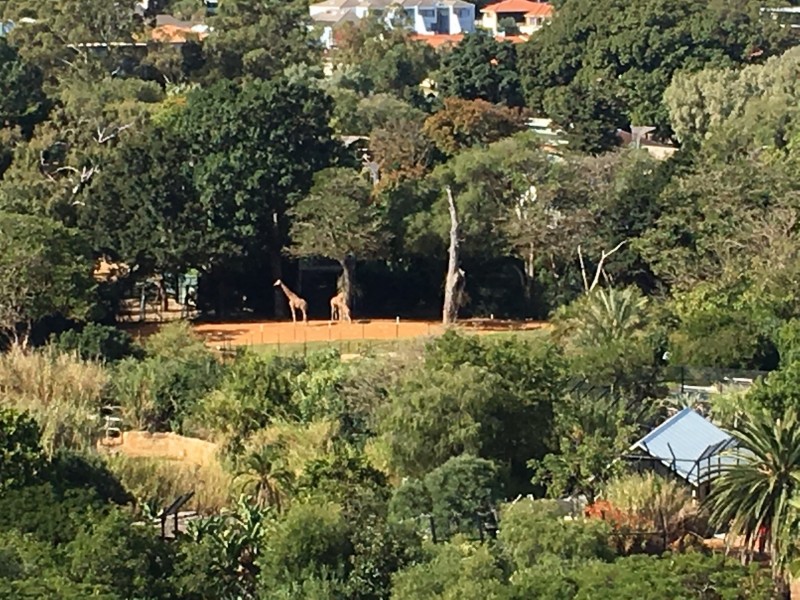1006/53 Labouchere Road, South Perth WA 6151