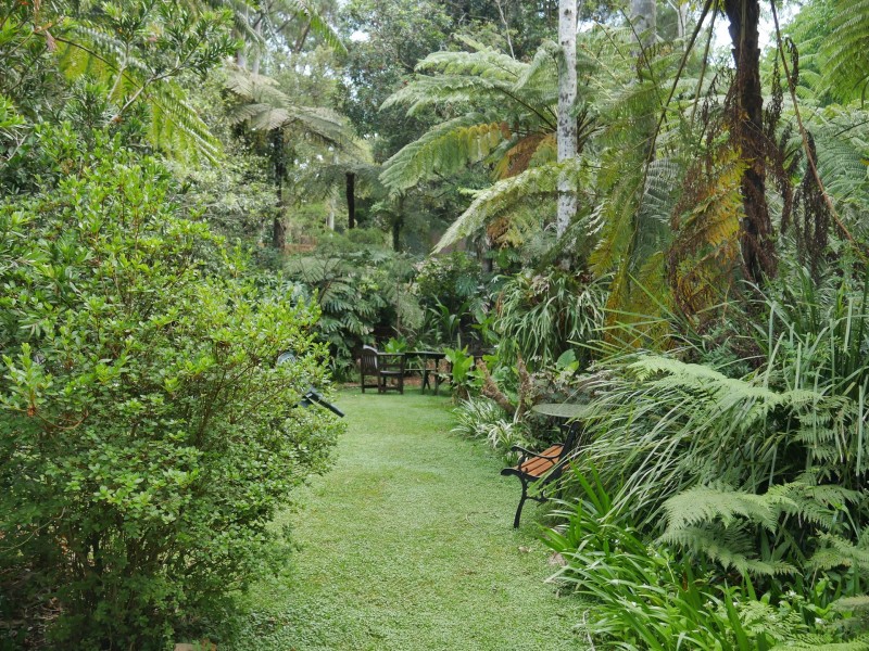 8 Canyon Parade, Springbrook QLD 4213