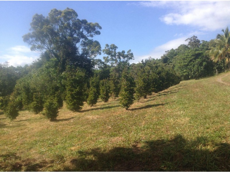 141 Hill Sixty Road, El Arish QLD 4855