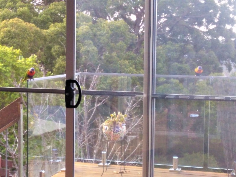 18 Cooper Close, Beacon Hill NSW 2100