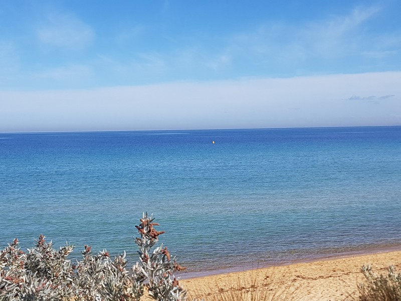 4/1 Rosella Road, Parkdale VIC 3195