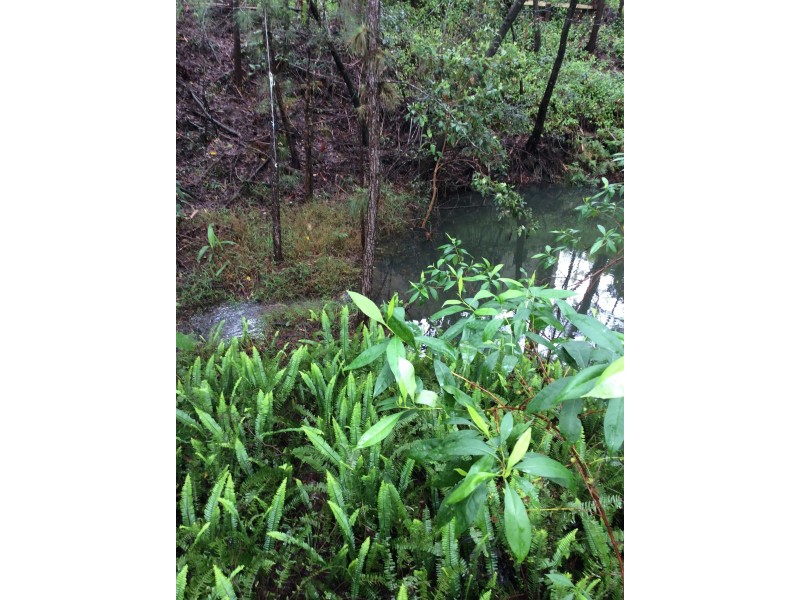 89 Lindeman Rd, Beerwah QLD 4519