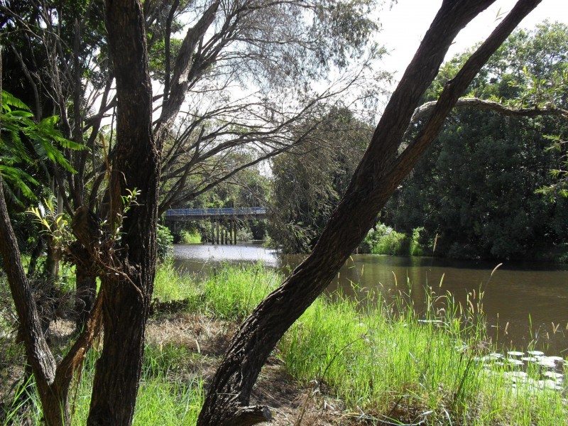 36 Marlene Street, Bellmere QLD 4510