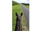 Lot 109 Dexter Road, Gordonvale QLD 4865