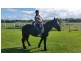 Lot 109 Dexter Road, Gordonvale QLD 4865