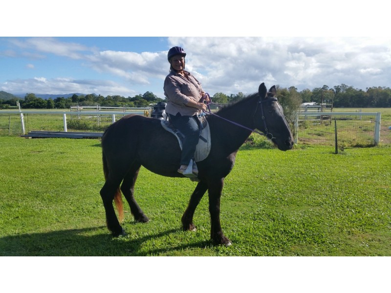 Lot 109 Dexter Road, Gordonvale QLD 4865