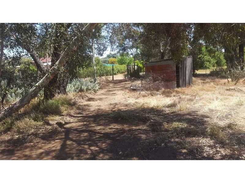 24 Raglan Street, Pingelly WA 6308