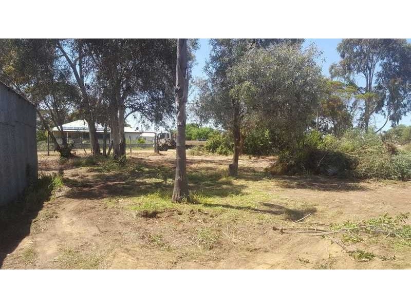 24 Raglan Street, Pingelly WA 6308