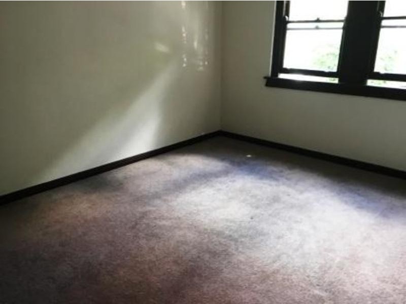 4/2 Wills Avenue, Waverley NSW 2024