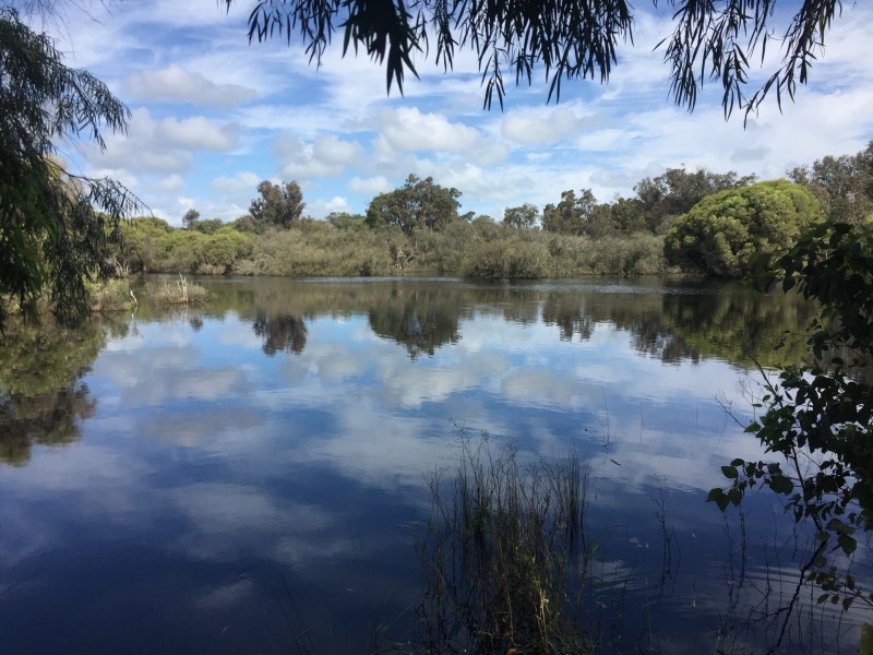 105 Norton Promenade, Dalyellup WA 6230