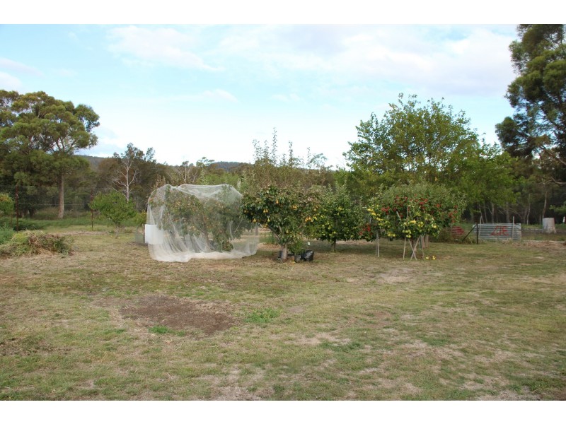 798 Old Coach Road, Cranbrook TAS 7190