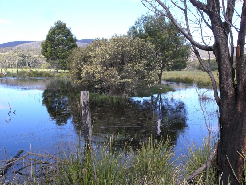 798 Old Coach Road, Cranbrook TAS 7190