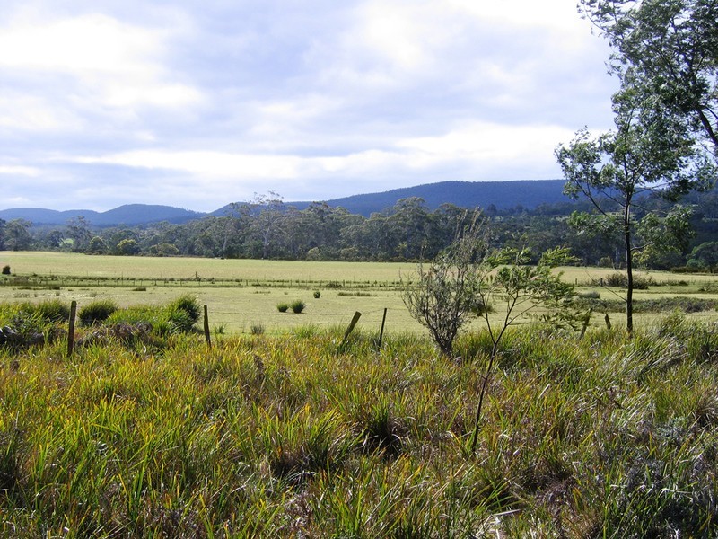 798 Old Coach Road, Cranbrook TAS 7190
