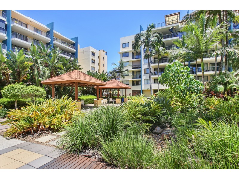 243/9 WIRRAWAY STREET, Alexandra Headland QLD 4572