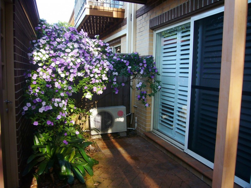 6 Conner Close, Liberty Grove NSW 2138