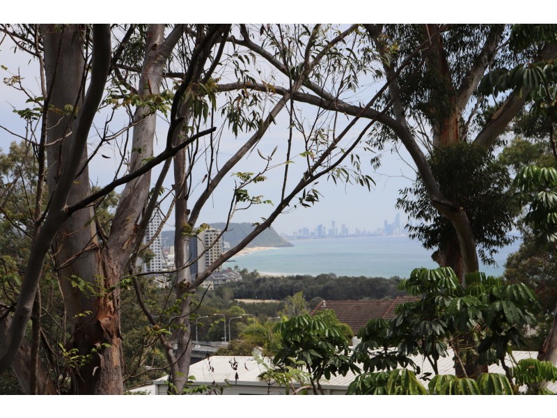 1/53 Thrower Drive, Currumbin QLD 4223