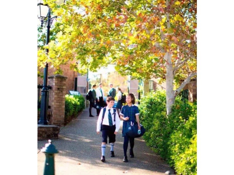 Lot 2/24 Bonogin Road, Mudgeeraba QLD 4213