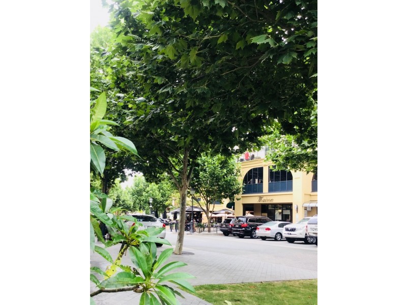 64/3030 The Boulevard, Carrara QLD 4211