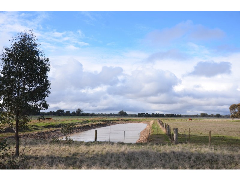 250 Karramomus Road, Arcadia VIC 3631