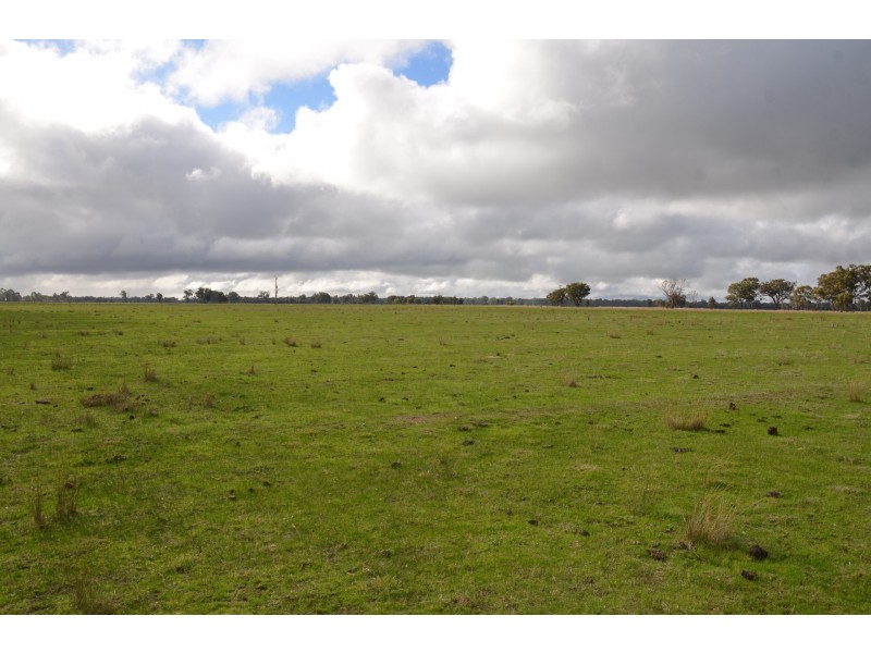 250 Karramomus Road, Arcadia VIC 3631