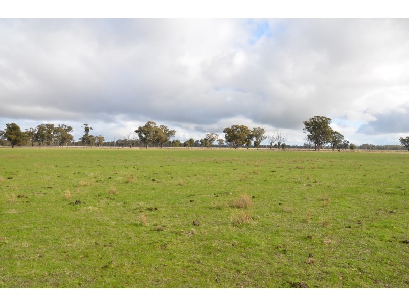 250 Karramomus Road, Arcadia VIC 3631