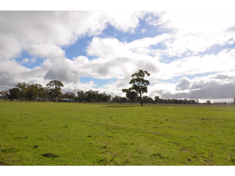 250 Karramomus Road, Arcadia VIC 3631