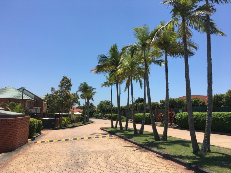 41/116 Meadowlands Road, Carina QLD 4152