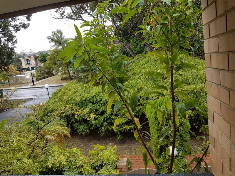 8/9 Jersey St, Jolimont WA 6014