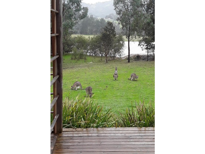 111 Alford Avenue, Eildon VIC 3713